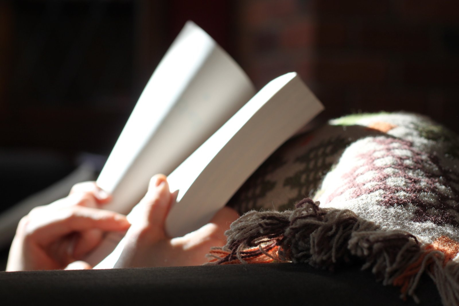 About the book