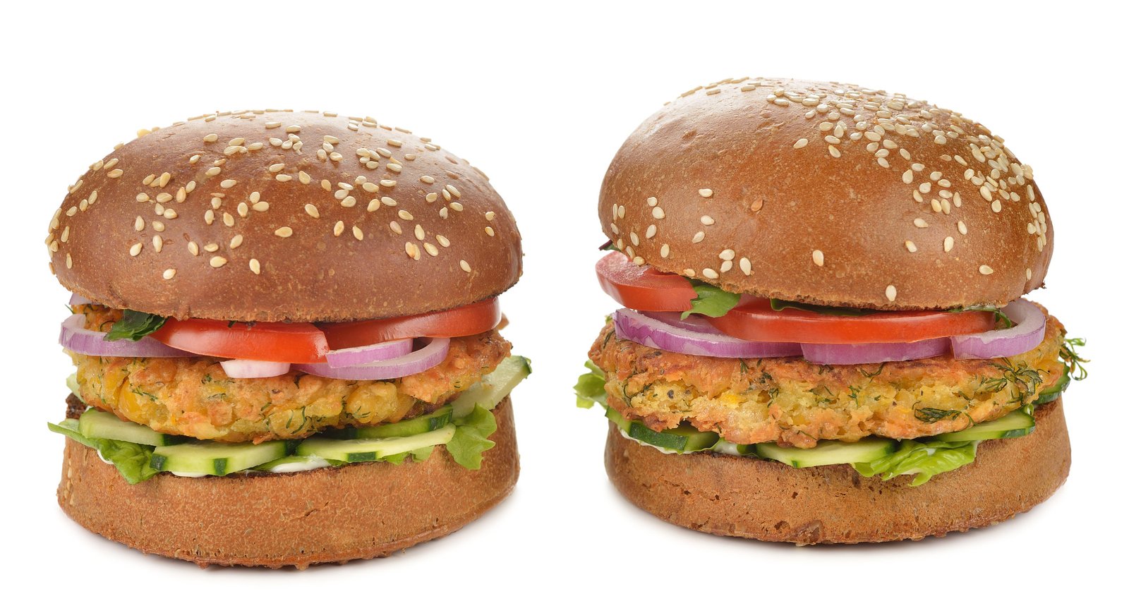 [Read it!] The Reducetarian Solution